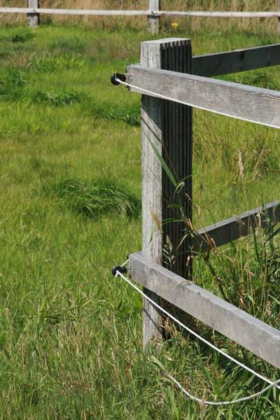 Robuster Holzzaun im ländlichen Stil, ein klassisches Beispiel für langlebigen Zaunbau auf einer grünen Wiese.